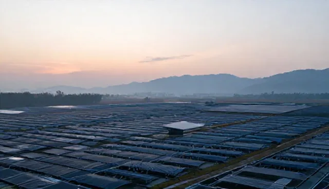 批发零售服务选型误区与实用建议