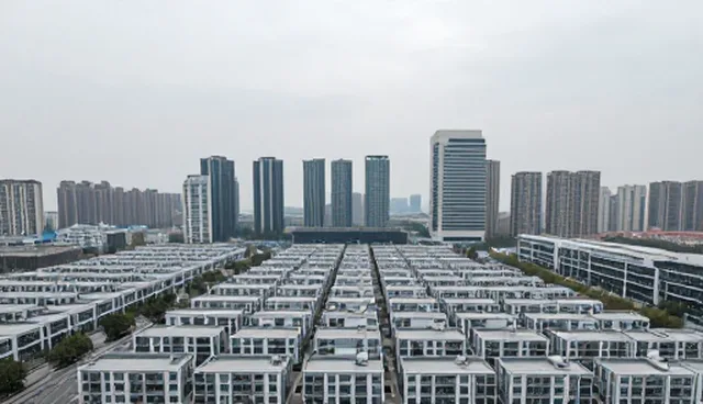 企业信用查询服务：性能与适用条件分析