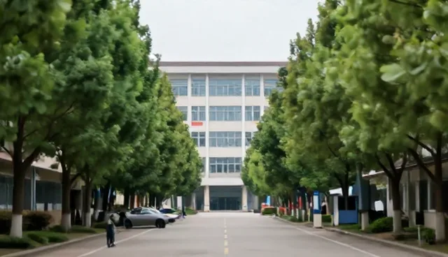 学习支持服务的适用条件与选择依据