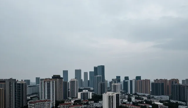 技师团队服务周期的适用情况与限制分析