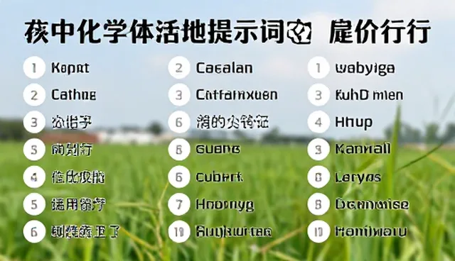 Llama提示词检查要点与前端开发提示词应用