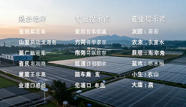 写作训练提示词选型与使用建议
