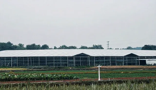 活动策划执行中视频剪辑常见问题与处理建议