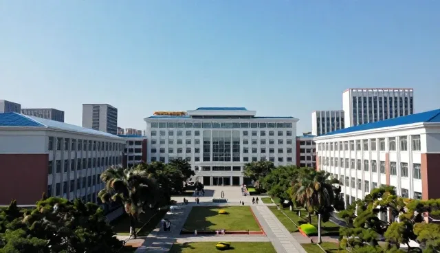信息处理效率提升与企业名录展示的适用条件