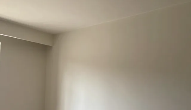 技术应用软件的使用与维护建议