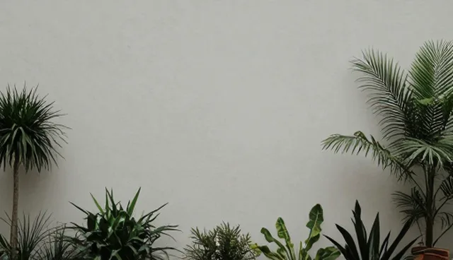 婚礼策划提示词：旅游行业视频生成的难点与解决方案