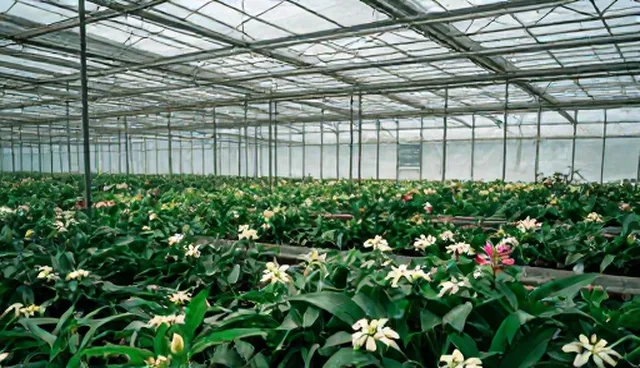 天然植物面膜使用误区解析：清洁与敷贴环节需注意