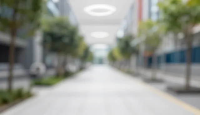 技术转让适配方案的适用条件与限制分析