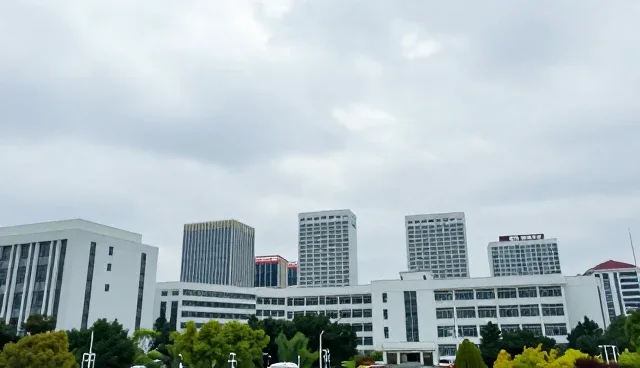 跨平台适配中的技术要点与常见问题处理方法