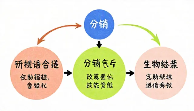 电商代运营方案如何优化运营成本