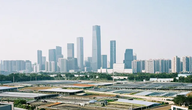贸易优化建议：适用场景与限制分析