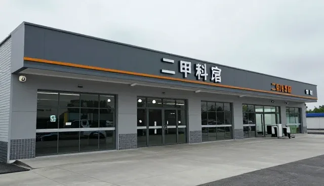 二甲苯选型建议：适用情况与限制分析