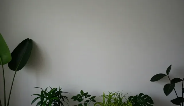有效沟通的两种做法对比：选型关注点分析