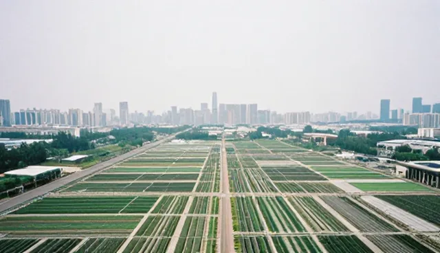 企业级数据平台使用与维护的优化建议