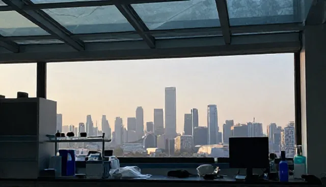 需求反馈中的理解偏差与高效执行策略