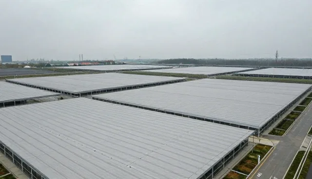 应用技术开发：性能与适用条件的具体分析