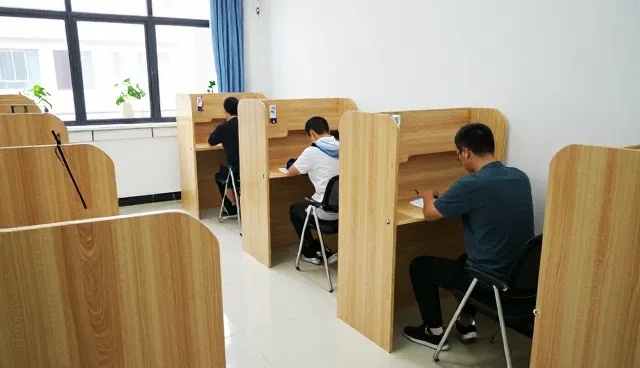 学习规划方案选择：自主规划与专业咨询的取舍