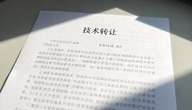 技术转让在项目方案中的适用情况与限制分析