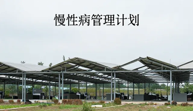 医疗服务项目选型中的实际环节与关注点