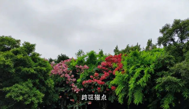 公司起名提示词：适用情况与限制说明