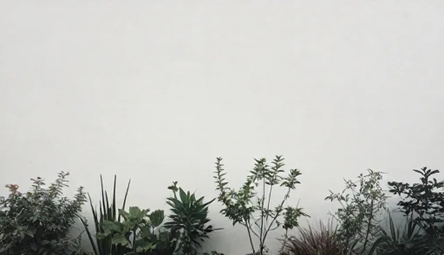 企业短视频运营中的内容维护与用户互动策略