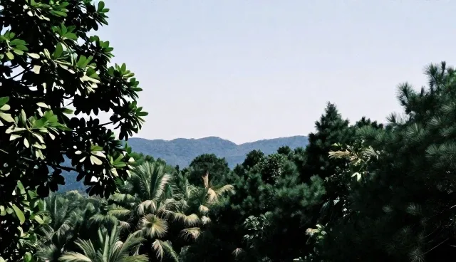 研学旅行门票预订使用建议，如何避免常见问题