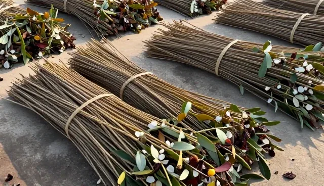油茶种苗种植中的湿度控制关键环节