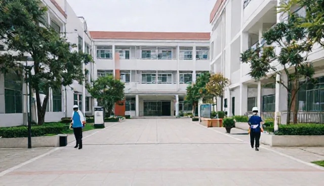 开荒保洁选型与维护建议：性能与适用条件解析