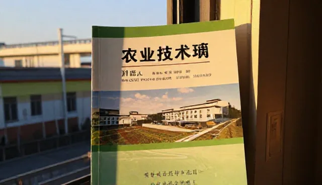 项目合作中技术更新的关键环节与推广策略