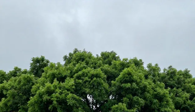 技术支持服务选型关注点及使用维护建议