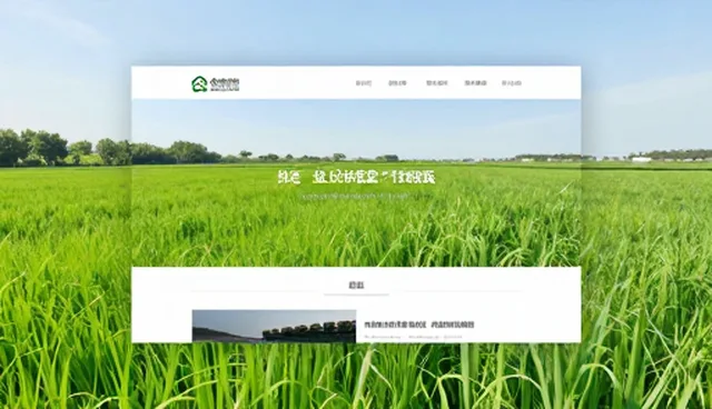 官网建设应结合业务需求选择合适方案