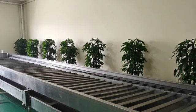 农产品加工性能差异的关键影响因素分析