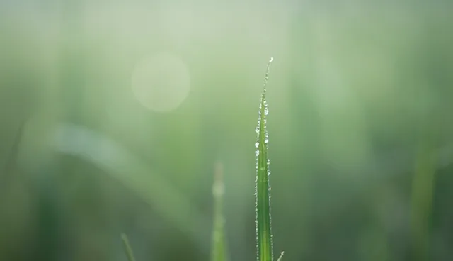 问题处理中注重长期口碑的适用场景与限制