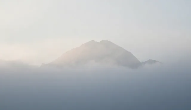 技术咨询服务中的检查要点与业务发展策略