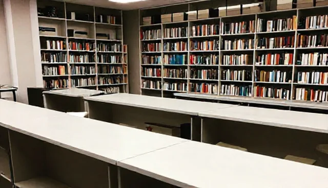 地区差异对产品应用的影响及应对策略