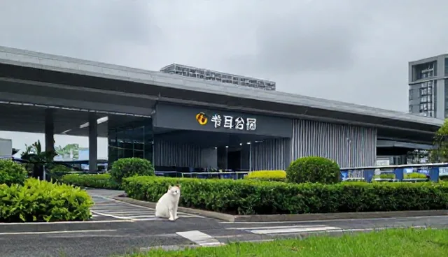 GPT4提示词对内容结构的影响原因分析