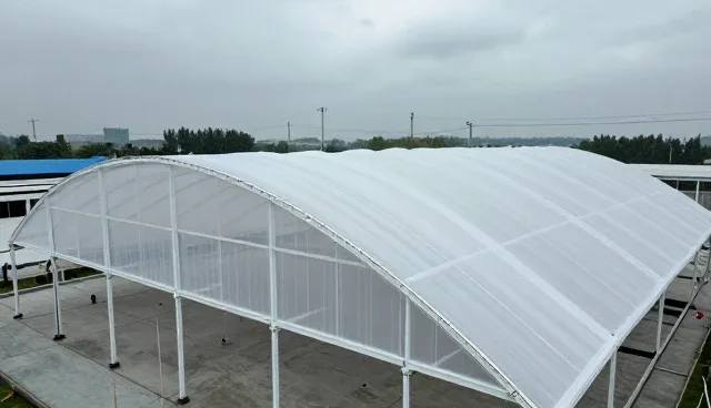 膜结构安装包：常见问题与处理方法分析