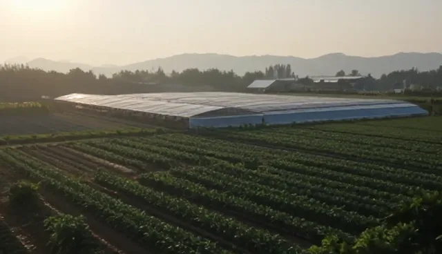 短视频账号代运营需关注的五大检查要点