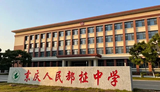 年检代办流程优化，提升效率与合规性