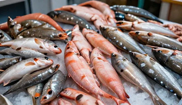 物流管理：食材供应选型关注点分析