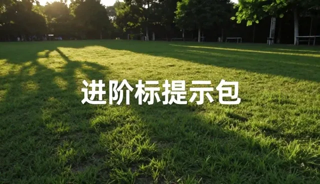Java提示词与通用提示词的取舍：设计从业者如何选择