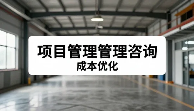 项目维护与咨询服务的选择对比及实际取舍