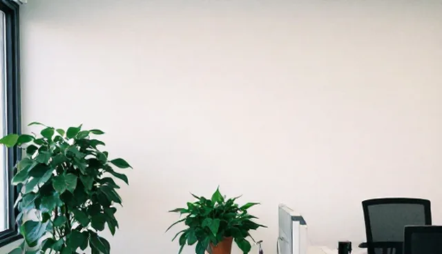 执行效率提升中的商务环节实际应用