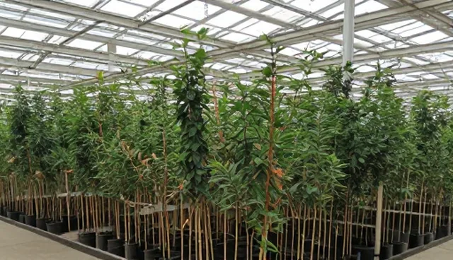 提高种植效率的售后服务支持应用条件与选择依据