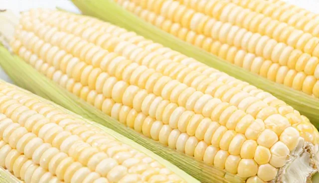 粮食运输服务适用条件及选择依据说明