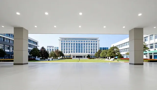 深圳设计网站网络安全检查要点及技术外包策略
