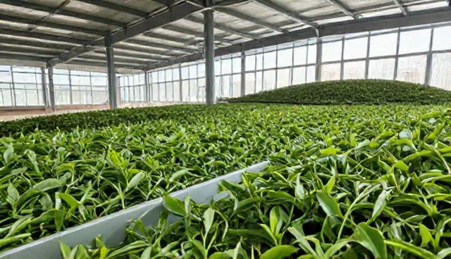 仓储配送中常温保存的两个实际环节分析
