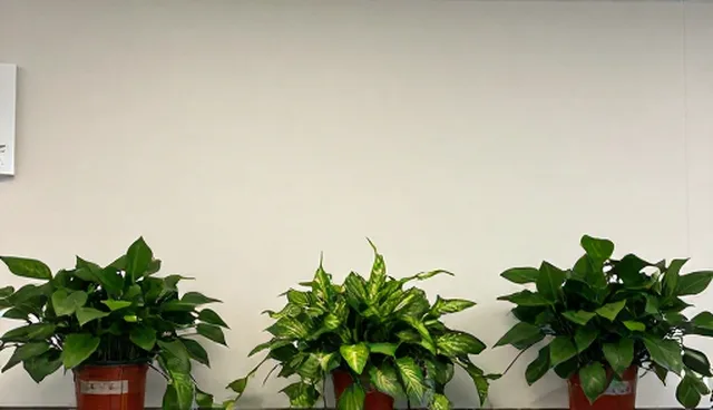 技术成果转化中的系统集成问题与处理方向