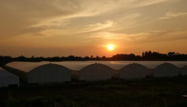 广西网站推广为何难以见效？企业登记套餐如何助力？
