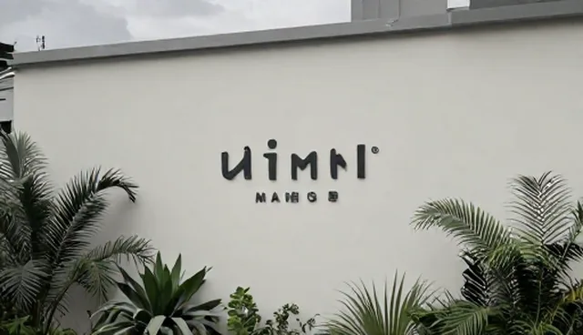 视频剪辑中品牌视觉设计的理解偏差与应对
